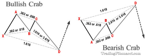Crab Pattern